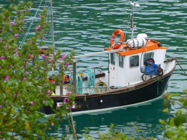 The Gallery Port Isaac Luaran gambar